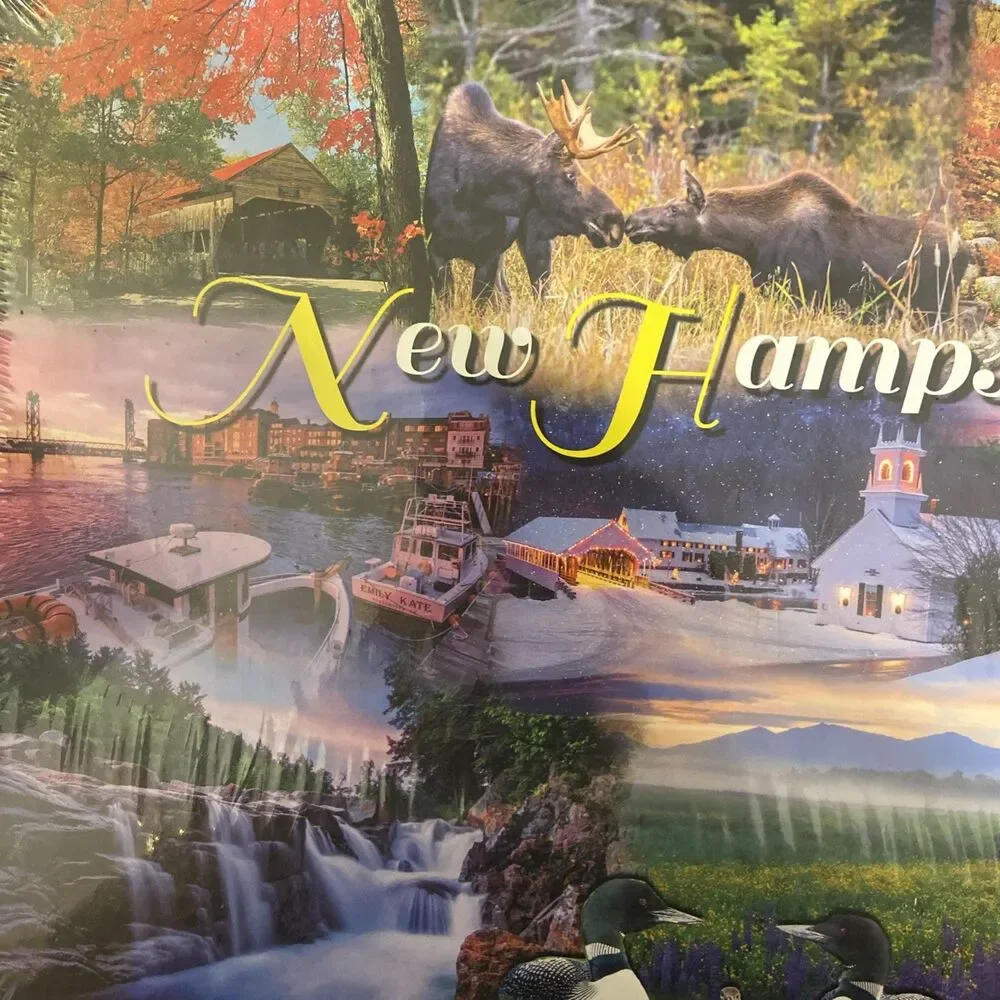 New Hampshire NEW 550 Pc puzzle Moose Covered Bridge Waterway Fence Ship Lightho